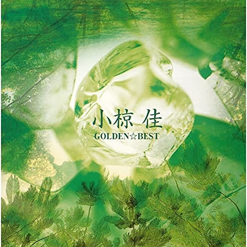 ゴールデン&star;ベスト 小椋佳 (ハイブリッドCD)小椋佳 発売日: 2022年11月16日 種別: CD JAN: 4988031532584 商品番号: UPGY-6015