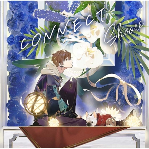 【送料無料】 CD/しゅーず/CONNECT (通常盤)/PCCA-6190