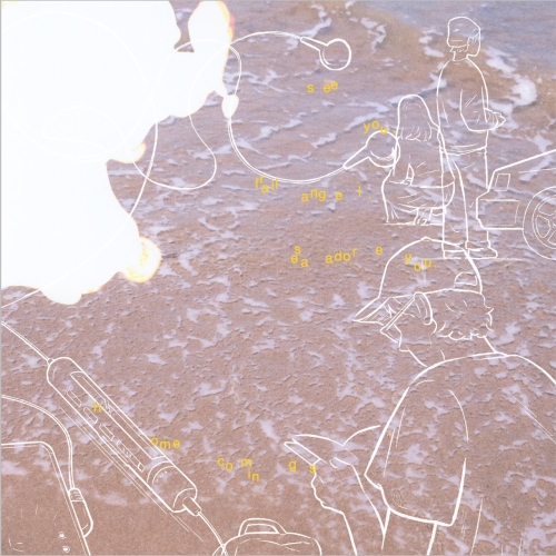 CD / Homecomings / see you, frail angel. sea adore you. (CD+Blu-ray) / PCCA-6348