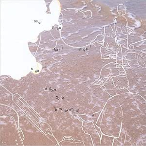 LP(30cm) / Homecomings / see you, frail angel. sea adore you. / PCJA-179