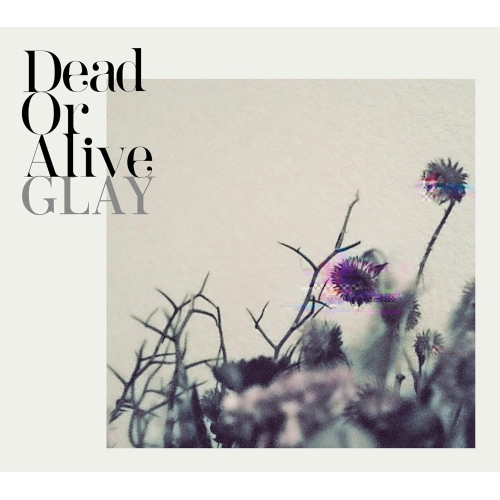 CD / GLAY / Dead Or Alive (CD+Blu-ray) / PCCN-90010