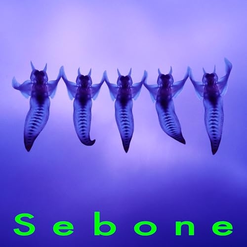 【送料無料】 CD/とた/Sebone -脊髄盤-/PCCA-6464