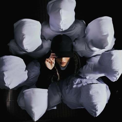 【送料無料】 CD/Arche/THE BLACK SHEEP OF THE FAMILY (通常盤)/PCCA-6474