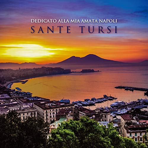【送料無料】 CD/Sante Tursi/ナポリ、想いあふれて (解説付)/RES-325