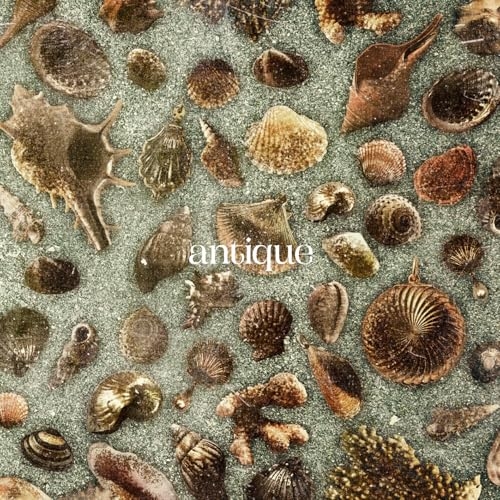 CD / おいしくるメロンパン / antique (CD+Blu-ray) (初回生産限定盤) / MMZ-11022