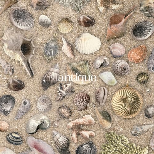 CD / おいしくるメロンパン / antique (通常盤) / MMZ-11024