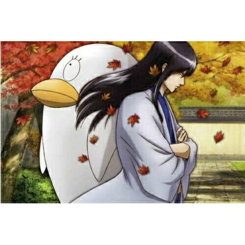 【送料無料】 DVD/TVアニメ/銀魂 シーズン其ノ参 03 (通常版)/ANSB-2753