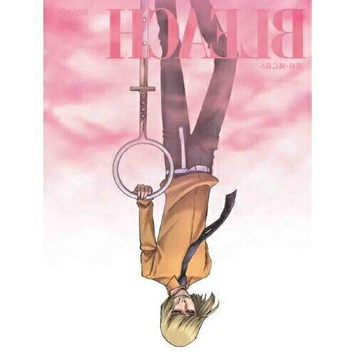 【送料無料】 DVD/キッズ/BLEACH(破面・滅亡篇6)/ANSB-2986