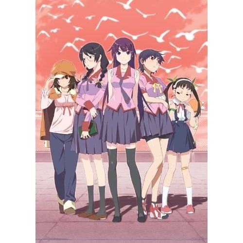 BD / TVアニメ / 化物語 Blu-ray Disc Box(Blu-ray) (特別生産限定版) / ANZX-9511