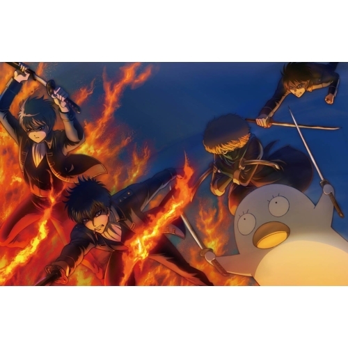【送料無料】 DVD/TVアニメ/銀魂゜ 12 (通常版)/ANSB-12520