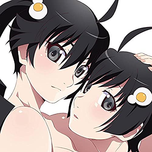 【送料無料】 CD/アニメ/偽物語&猫物語(黒) Original Soundtracks/SVWC-70276