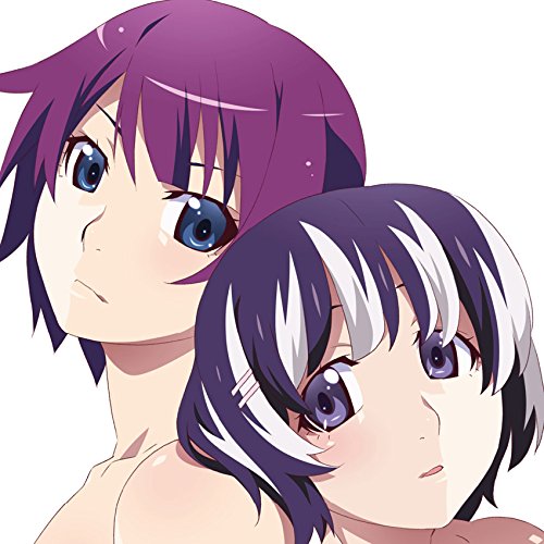 【送料無料】 CD/アニメ/物語シリーズ セカンドシーズン Original Soundtracks/SVWC-70291