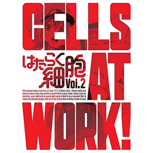 【送料無料】 DVD/TVアニメ/はたらく細胞 Vol.2 (DVD+CD) (完全生産限定版)/ANZB-14703