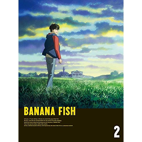 DVD / TVアニメ / BANANA FISH DVD BOX 2 (2DVD+CD) (完全生産限定版) / ANZB-14874