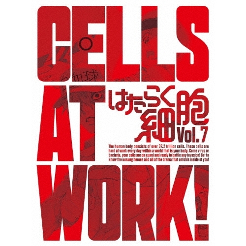 【送料無料】 DVD/TVアニメ/はたらく細胞 Vol.7 (DVD+CD) (完全生産限定版)/ANZB-14713