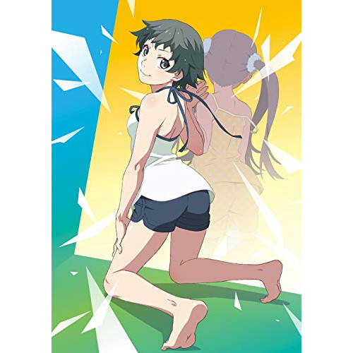 【送料無料】 DVD/TVアニメ/続・終物語 こよみリバース 下 (通常版)/ANSB-13823