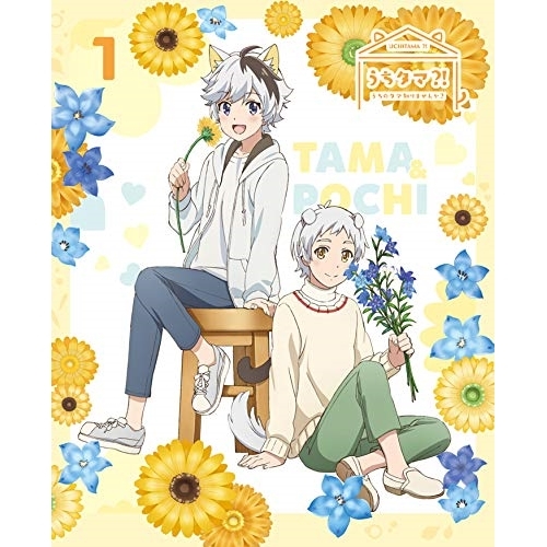 【送料無料】 DVD/TVアニメ/うちタマ?! ～うちのタマ知りませんか?～1 (DVD+CD) (完全生産限定版)/ANZB-13711