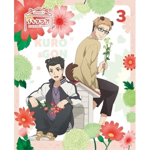 【送料無料】 BD/TVアニメ/うちタマ?! ～うちのタマ知りませんか?～3(Blu-ray) (Blu-ray+CD) (完全生産限定版)/ANZX-13715