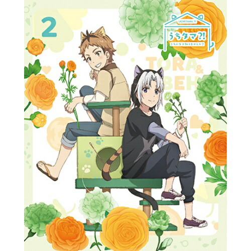 【送料無料】 DVD/TVアニメ/うちタマ?! ～うちのタマ知りませんか?～2 (本編ディスク+特典ディスク) (完全生産限定版)/ANZB-13713