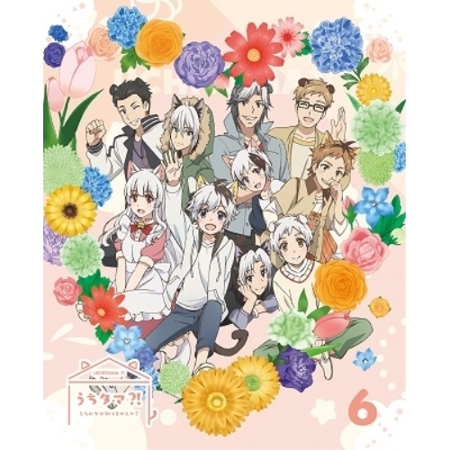 【送料無料】 DVD/TVアニメ/うちタマ?! ～うちのタマ知りませんか?～6 (本編ディスク+特典ディスク) (完全生産限定版)/ANZB-13721