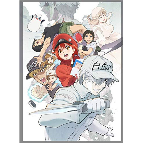 CD / アニメ / GO!GO!細胞フェスタ / SVWC-70498