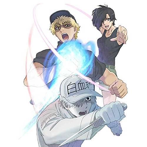 DVD / TVアニメ / はたらく細胞!! Vol.4 / ANSB-14976