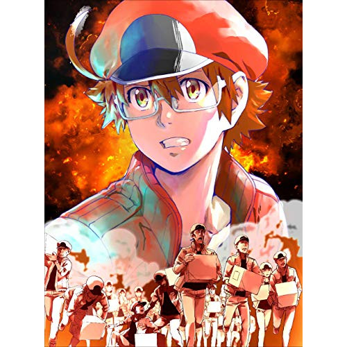 BD / TVアニメ / はたらく細胞BLACK 1(Blu-ray) (Blu-ray+CD) (完全生産限定版) / ANZX-15101