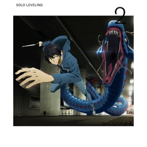 【送料無料】 DVD/TVアニメ/俺だけレベルアップな件 Vol.2 (本編ディスク+特典ディスク) (完全生産限定版)/ANZB-17253