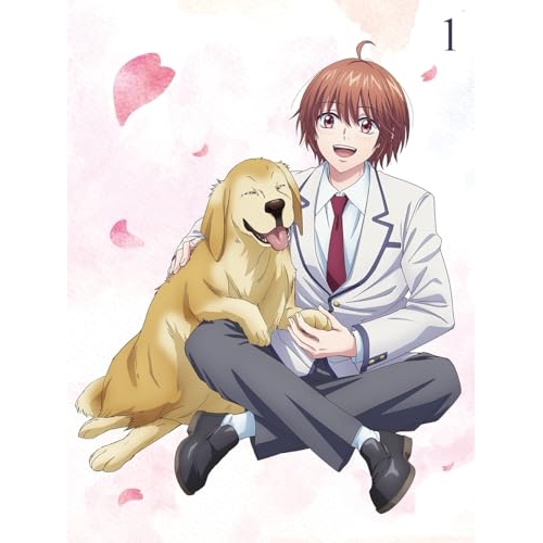 【送料無料】 DVD/TVアニメ/花ざかりの君たちへ DVD BOX Vol.1 (2DVD+CD) (完全生産限定版)/ANZB-18321