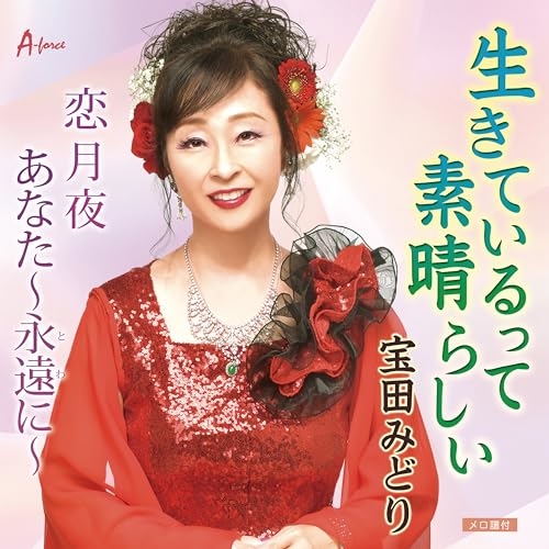 CD / 宝田みどり / 生きているって素晴らしい/恋月夜/あなた～永遠に～ (メロ譜付) / YZWG-15319