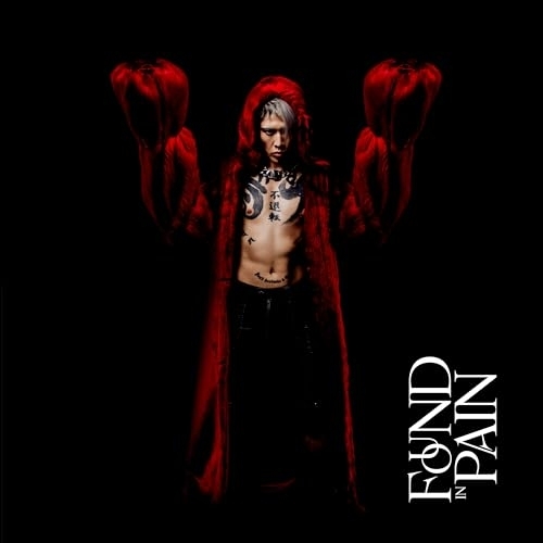 CD / MIYAVI / Found In Pain (初回生産限定盤) / LAMR-35031