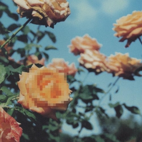 【送料無料】 CD/globe/Relation (紙ジャケット) (期間限定生産廉価盤)/AQCD-50697