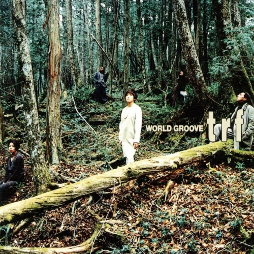 LP(30cm) / TRF / WORLD GROOVE / AQJD-77738