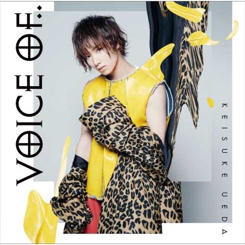 【送料無料】 CD/植田圭輔/voice of.. (CD+DVD) (M ver.)/YCCW-10360