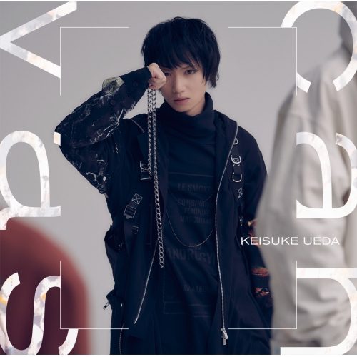 CD / 植田圭輔 / canvas / YCCW-10385