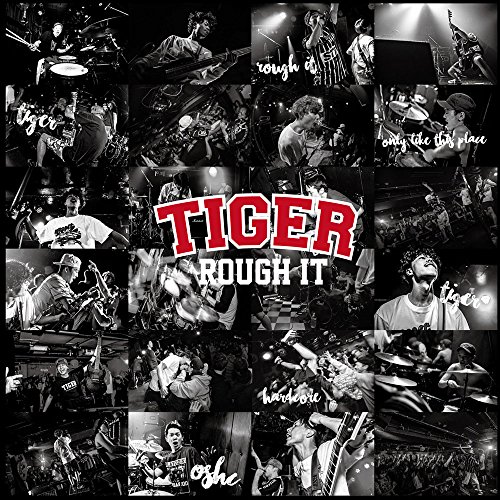 【送料無料】 CD/TIGER/ROUGH IT/DQC-1564