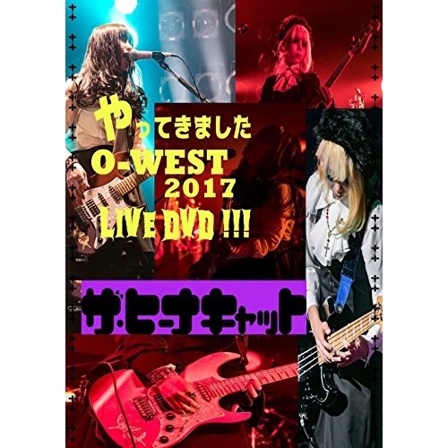 【送料無料】 DVD/ザ・ヒーナキャット/ザ・ヒーナキャットのやってきましたO-WEST2017 LIVE DVD!!!/DQB-73