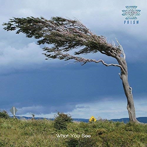 【送料無料】 CD/PRISM/What You See/DDCB-8017