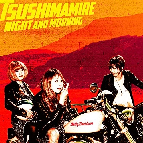 【送料無料】 CD/つしまみれ/NIGHT AND MORNING/DQC-1615