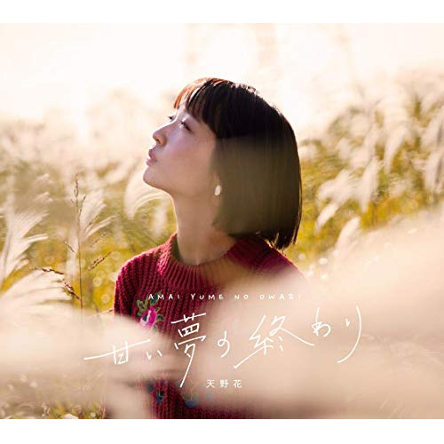 【送料無料】 CD/天野花/甘い夢の終わり/DQC-1641