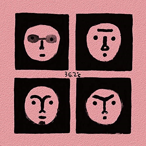 CD / フラワーカンパニーズ / 36.2℃ (紙ジャケット) / XQNG-1004