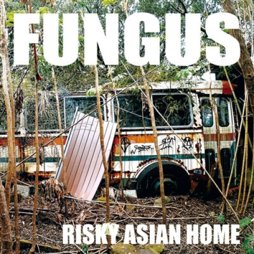 CD / FUNGUS / RISKY ASIAN HOME / DDCM-1048