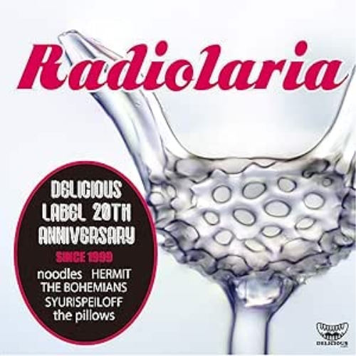 【送料無料】 CD/オムニバス/Radiolaria/QECD-10010