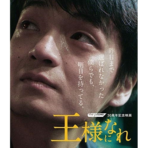 【送料無料】 BD/邦画/ザ・ピロウズ30周年記念映画 「王様になれ」(Blu-ray) (通常版)/QEXD-10006