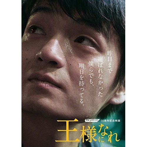 【送料無料】 DVD/邦画/ザ・ピロウズ30周年記念映画 「王様になれ」 (本編ディスク1枚+特典ディスク2枚) (初回限定版)/QEBD-90006