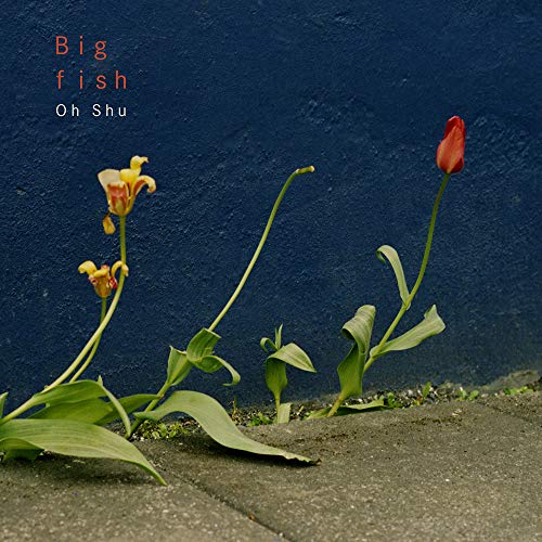 【送料無料】 CD/王舟/Big fish/PECF-1171