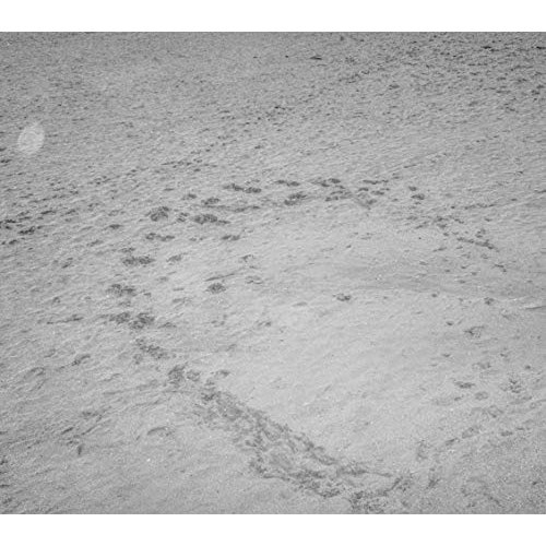 CD / mitsume / VI / PECF-1183