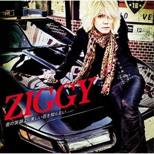 【送料無料】 CD/ZIGGY/君の笑顔より美しい花を知らない (CD+DVD)/PECF-3202