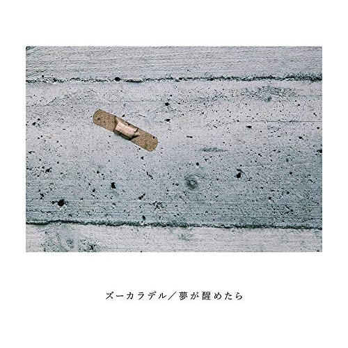 【送料無料】 CD/ズーカラデル/夢が醒めたら/PECF-3217
