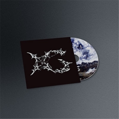 CD / XG / AWE (初回盤/Regular ver.) / NFCC-20